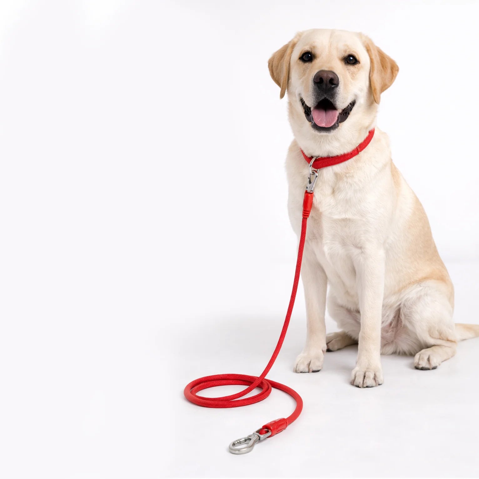 Polypropylene Rope Leash - 8mm/150cm