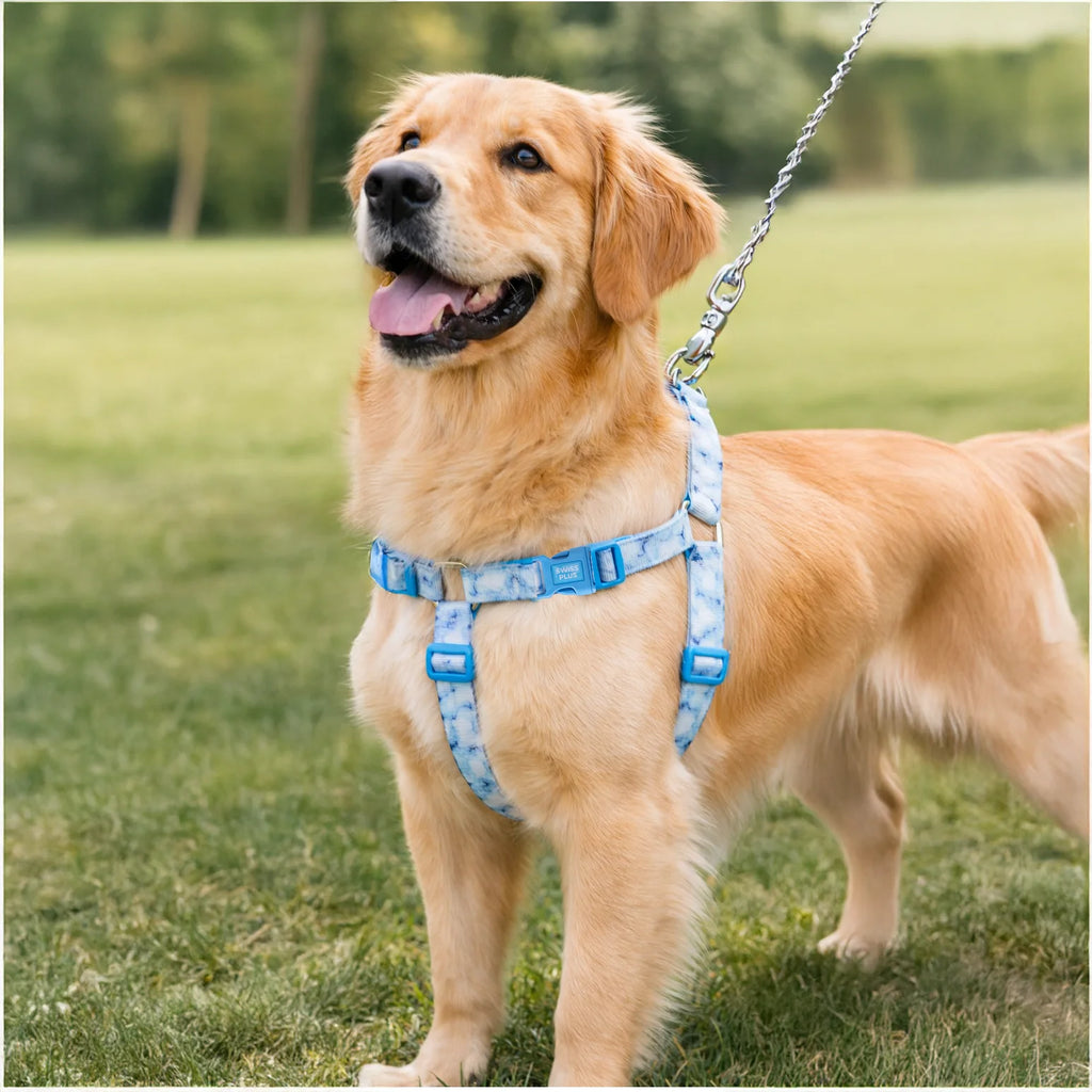 Patterned Recycled H-Type Harness
