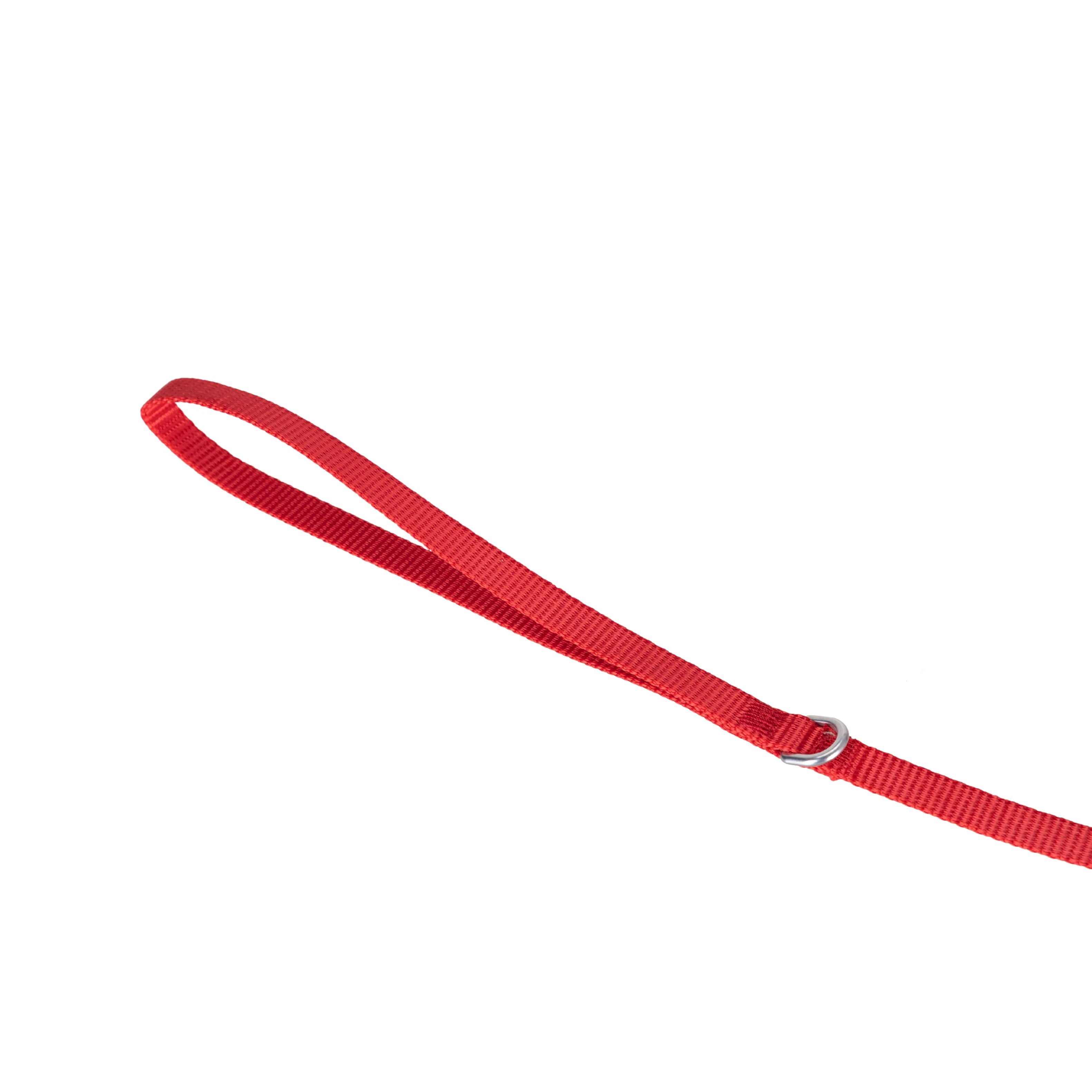 Solid Color Leash