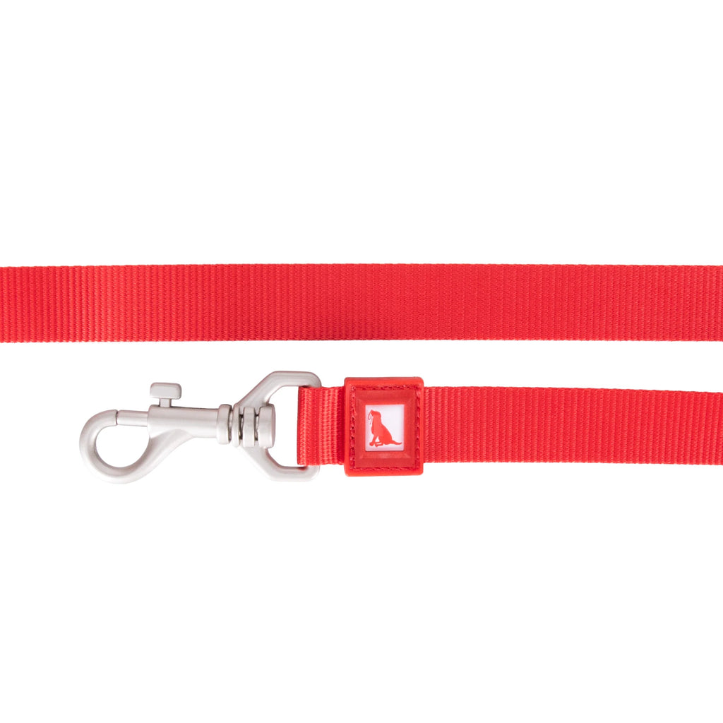 Solid Color Leash