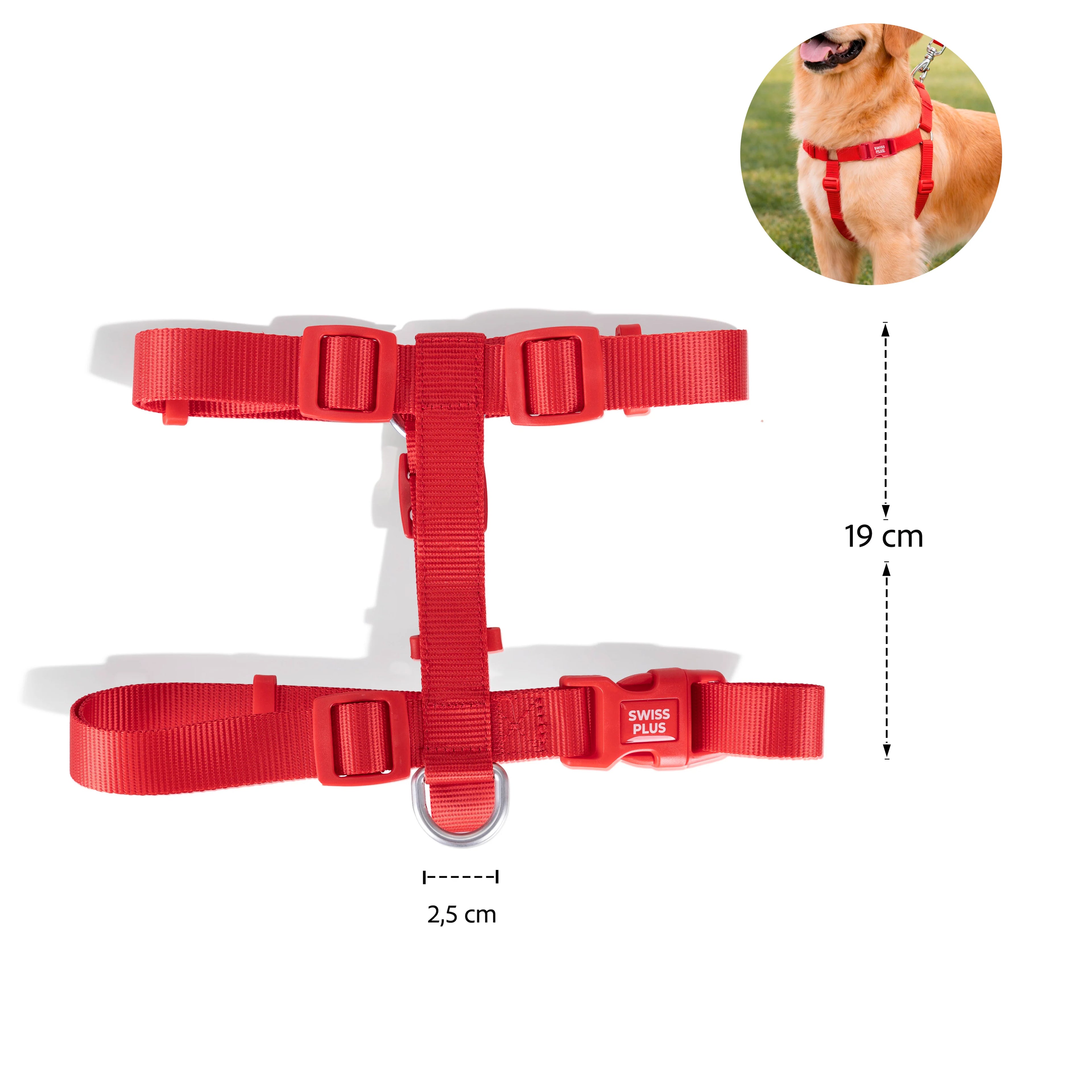 Solid Color H-Type Harness
