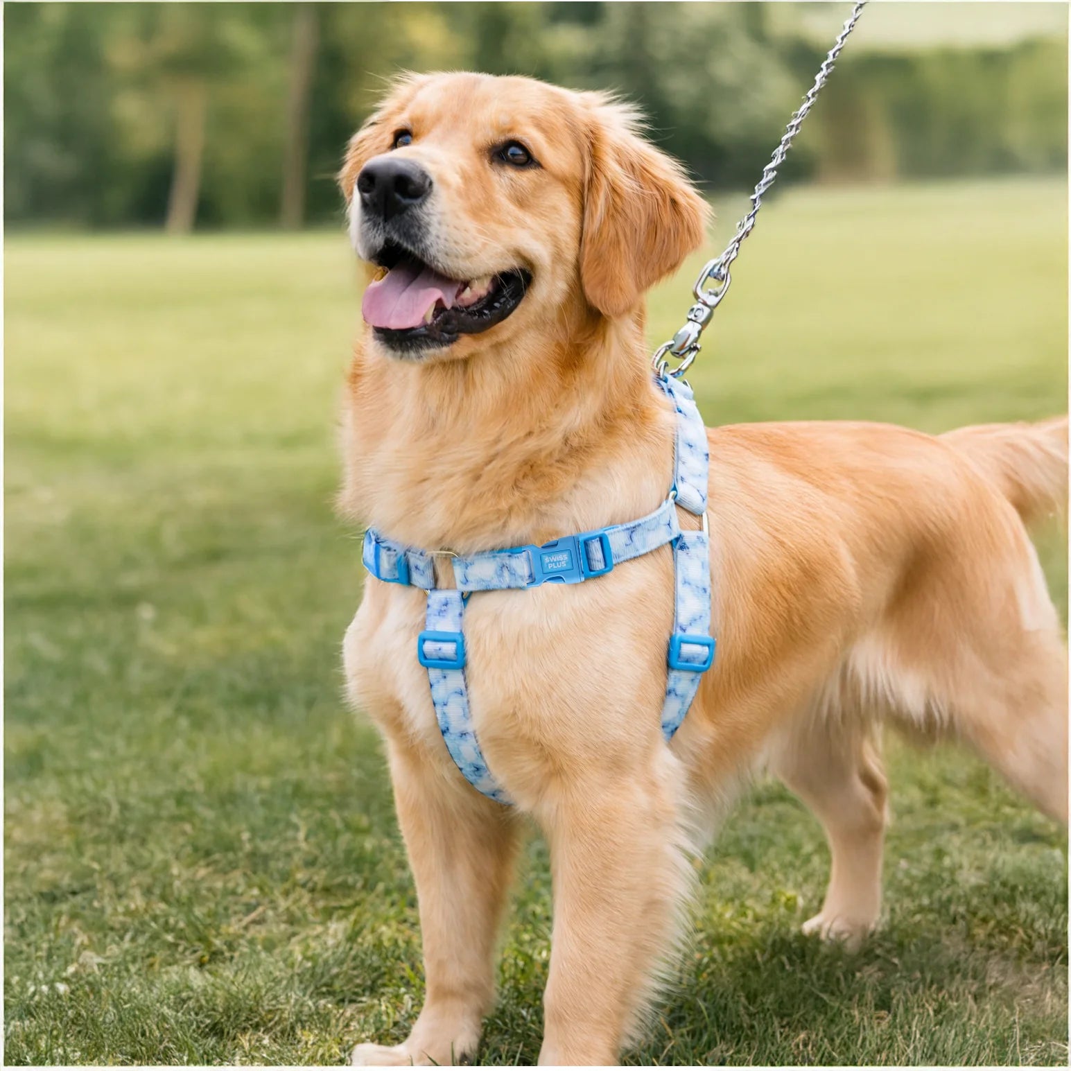 Patterned Recycled H-Type Harness