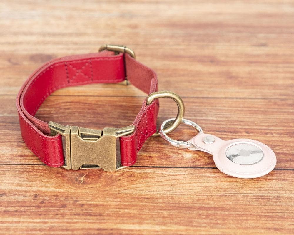 Scooby Leather Dog Collar